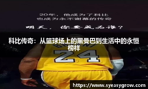 ok138科比传奇：从篮球场上的黑曼巴到生活中的永恒榜样